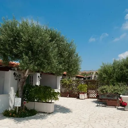 Le Vigne * Forio di Ischia