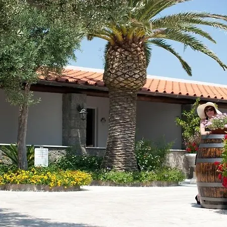 Le Vigne *