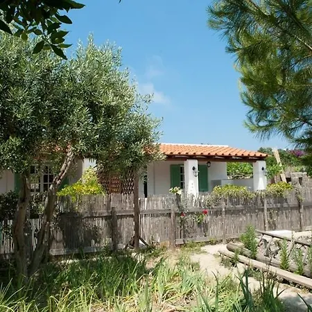 Le Vigne