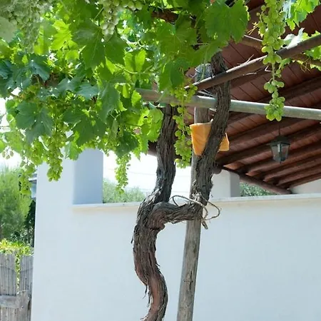 Lägenhetshotell Le Vigne
